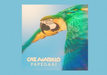 Caz Amarillo Papegaai