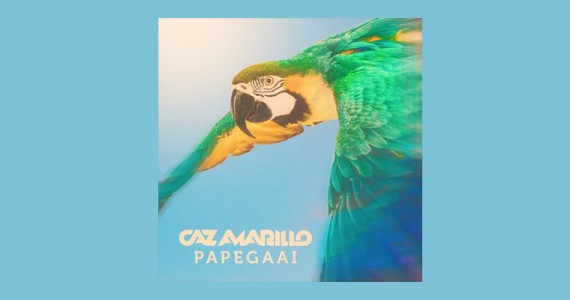 Caz Amarillo Papegaai